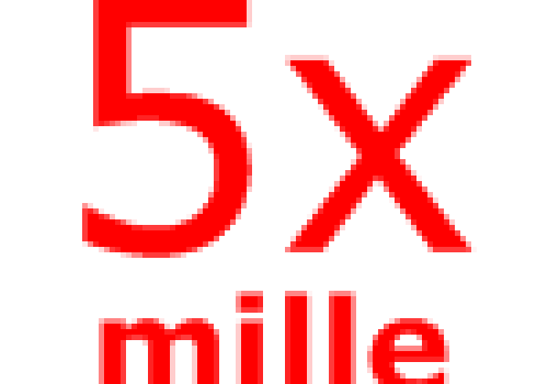 5xmille